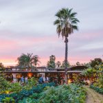 La primera Guía MICHELIN de México reconoce a Los Cabos como destino culinario sostenible